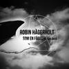 Som en Fågel(feat. Axel Bass) - Robin Hägerholt&Axel Bass