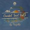 Coastal Soul Vol.3 Mixed by Trujillo (Continuous DJ Mix) - Various