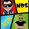 Зож - NDS