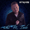 What Lies Inside - PJ Taylor