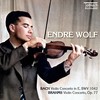 III. Allegro assai - Endre Wolf&Copenhagen Chamber Orchestra