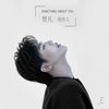 Something About You - 贾凡