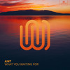 What You Waiting For - Aint