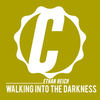Walking Into The Darkness (Original Mix) - Ethan Heich