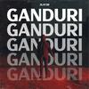 Ganduri - 2l4y3r