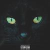 Gatos En El Techo (Explicit) - Javier Isak
