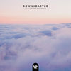 Downhearted - .ihaveaface&Lo-Fi Tigers