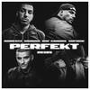 Perfekt (Remix|Explicit) - AriBeatz&RAF Camora&DARDAN&Sofiane