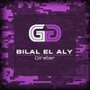 Dilrabar (Radio Edit) - Bilal El Aly