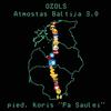 Atmostas Baltija 3.0 - Koris Pa Saulei&Ozols