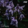 Delirios (Single Version) - Voraz