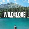 Wild Love - JayboX&Jamie Smith