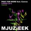 Carino 2014 (Pray For More Remix) - Pray For More&Ceevox