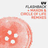 Flashback(Circle Of Life Remix) (Remix) - UV