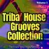 Solution (Extended Tribal Mix) - Mr Gonzo