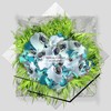 ertadyn - tropical interface