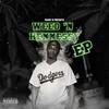 Intro (Explicit) - Ricky D