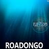 Bongo D'Roadongo (Original Mix) - Jon Rich