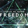 Freedom - Carlo Di Roma