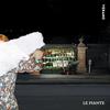 Le piante - Verano