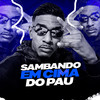 Sambando em Cima do Pau(feat. MC Rafa 22 & Mc Rd) (Explicit) - DJ Sassá Original