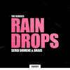 Rain Drops (Xtinctor Remix) - Sergi Domene&Brais