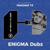 The Swarm - ENiGMA Dubz