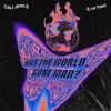 Has the World Gone Mad - CALI JEWLS&Our Friend