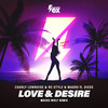 Love & Desire (Macks Wolf Remix) - Charly Lownoise&re-style&Magro&Diede