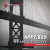 We Are The Groove (Original Mix) - Appt.829