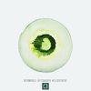 Equinox (Original Mix) - Wormhole Hitchhiker
