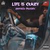 Life Is Crazy (Explicit) - Ontario Phoenix