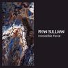 Irresistible Force - Ryan Sullivan