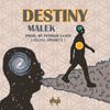 Destiny - Malek