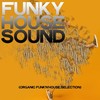 Getting Over (Funky House Mix) - Phunk Elevator