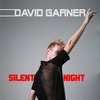 Silent Night - David Garner