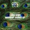 Imaginary Journey (Original Mix) - Luigi Gori&Anis Hachemi