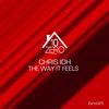 The Way It Feels - Chris IDH