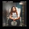 Walls - Cody James