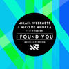 I Found You (feat. Yasmeen) - Mikael Weermets&Nico de Andrea&Yasmeen