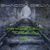Drive In (Original Mix) - Shacom Delia