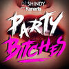 Party Bitches (Original Mix) - DJ Shindy&Kanaria