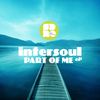 Breaking The Chains (Original Mix) - Intersoul