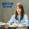 제비꽃 (Inst.) - 미교