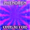 Phenomen - Kandelaki&Krio