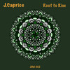 Root to Rise - J.Caprice