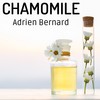 Lighting up a Benson - Adrien Bernard