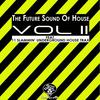 Monsoon (A Journey On The Wild Side) (Original Mix) - SoulDeep Inc.