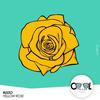 Yellow Rose - Ruzzo