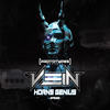 Burn Them All (Original Mix) - Vein&Zerberuz